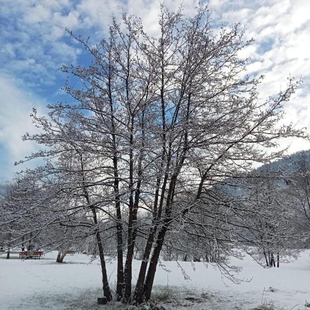 Ca' Stravaganza Lägenhet Bieno  Exteriör bild
